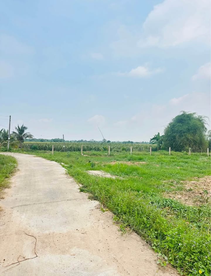 Đất Vườn Hàm Liêm 1600m² - Sổ CLN, Hai Mặt Tiền Vuông Vức