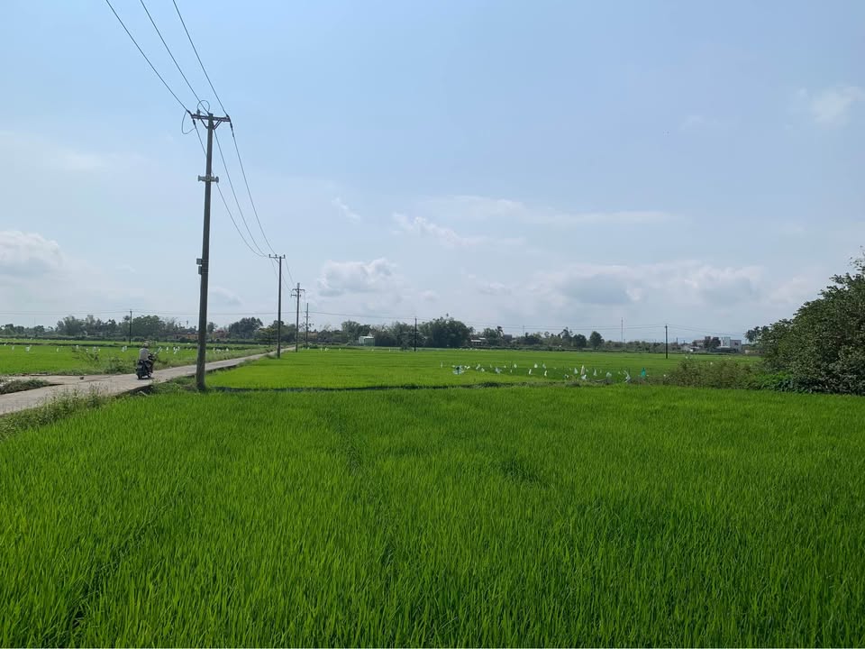 Đất nền Điện Hoà, Điện Bàn 120m² - Sổ đỏ chính chủ!