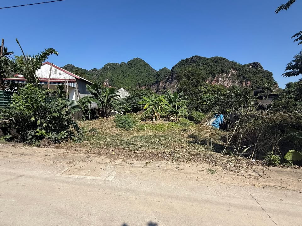 Đất Nền 373m² Chương Mỹ - Sổ Đỏ Chính Chủ, Giá Đầu Tư Tốt