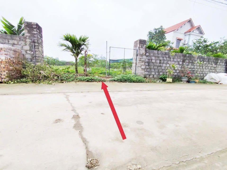 Đất Ngọc Thanh Kim Động Hưng Yên 614m² Sổ Đỏ Giá Tốt