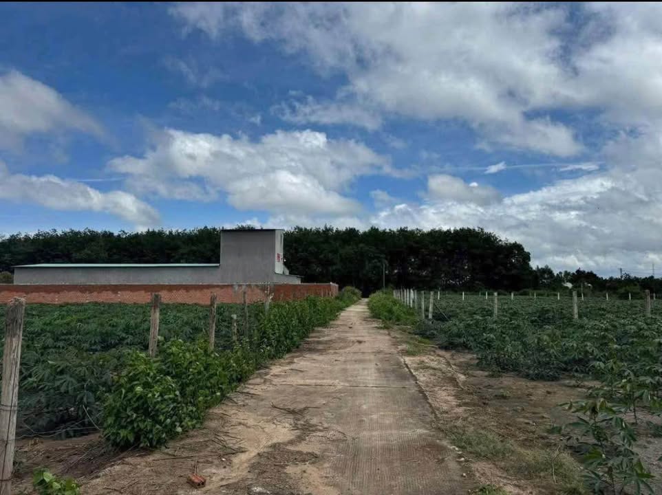 Đất nền Ia Chim Kon Tum 290m² giá thỏa thuận - Thổ cư 100%