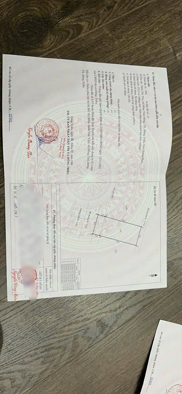 Đất nền Khu Tân Yên, Đông Triều 152m² - Tiềm năng tăng giá, Sổ đỏ sẵn sàng!