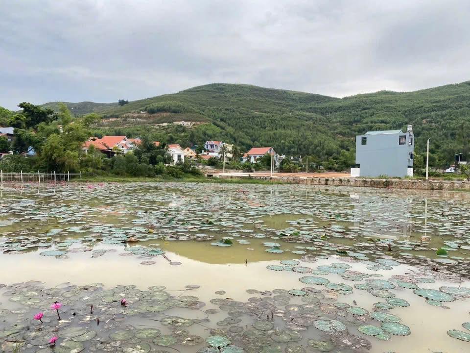 Đất nền Tuần Châu, Hạ Long 100m² – Tiềm năng tăng giá cực mạnh!