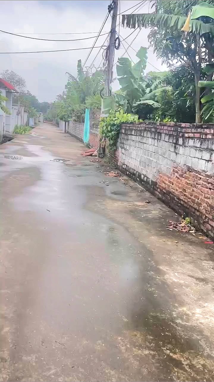 Đất nền TP Bắc Giang 100m² - Tiềm năng tăng giá vượt trội!