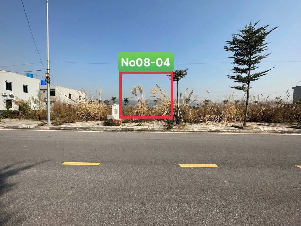 Đất Tái Định Cư Xuân Quang 100m² - Sổ Đỏ Sẵn Sàng - Giá Đầu Tư 1 Tỷ