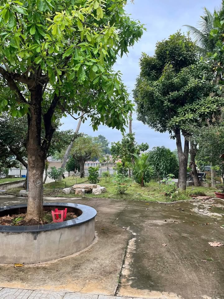 Biệt thự 1000m² view sông Thạnh Hội - Bán gấp giá 13.5 tỷ