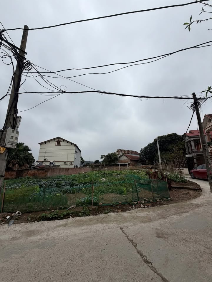 Bán đất Khu Bảo Đà Dữu Lâu 68m² giá 2.6 tỷ - Sổ đỏ chính chủ