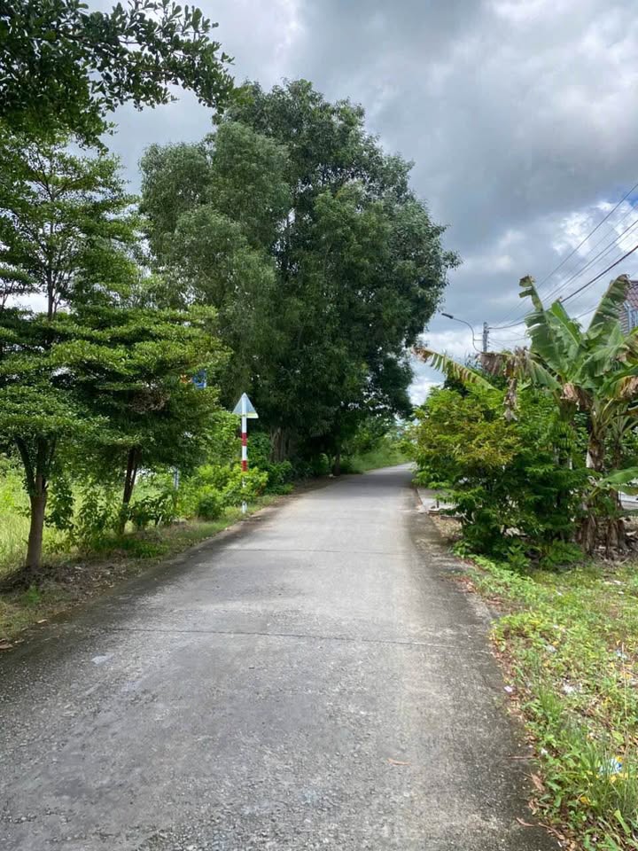 Bán Nền 228m² Ấp Xóm Chùa, Cà Mau - Lộ Xe Tải, Sổ Hồng Thổ Cư