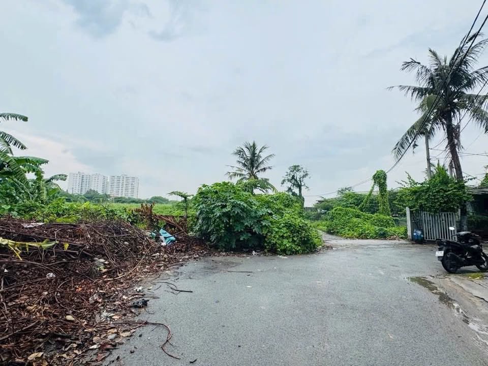 Đất Bình Tân Phường Tân Tạo 9.026m² 126 tỷ - Sổ đỏ chính chủ