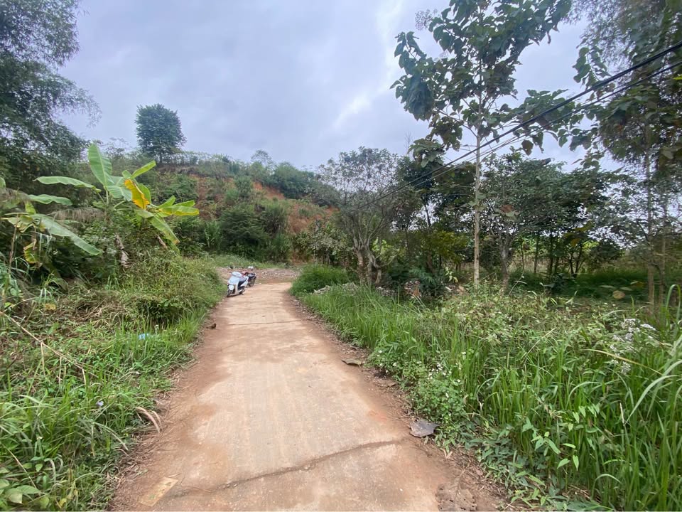 Đất nền Minh Xuân, Tuyên Quang 100m² - Sổ đỏ chính chủ, tiềm năng sinh lời!