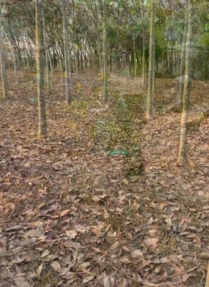 Đất Nền An Khương Hớn Quản 2000m² Giá 380 Triệu - Sổ Hồng Sẵn