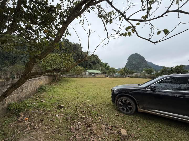 Đất nền Mộc Châu 4000m² - Tiềm năng tăng giá vượt trội!