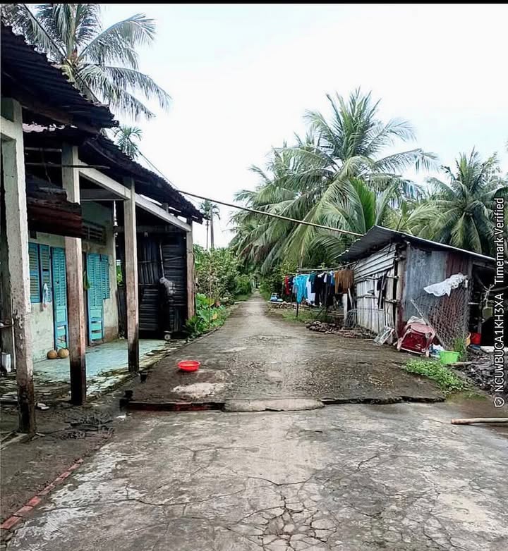 Đất Vườn Xã Phụng Hiệp 10.000m² Giá 1.6 Tỷ - Giá Đầu Tư Tốt!