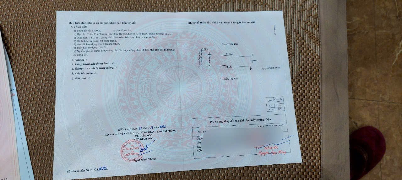 Đất nền Thụy Hương Kiến Thụy 147.3m² - Sổ hồng chính chủ, xây tự do!