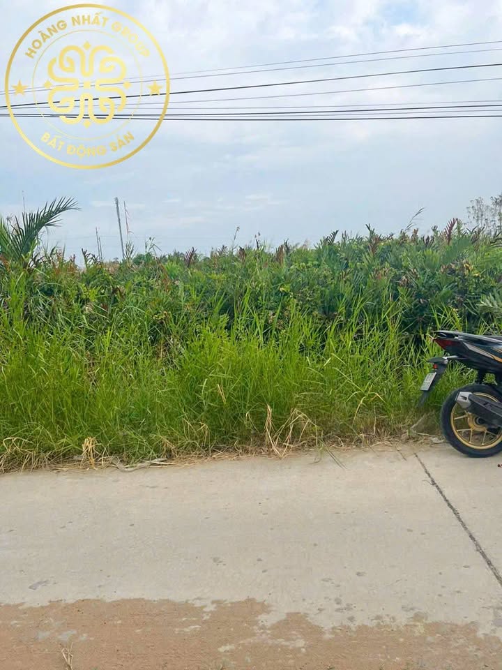 Đất Vườn Bạc Liêu 157m² - Giá 350 Triệu, Sẵn Sàng Xây Nhà!