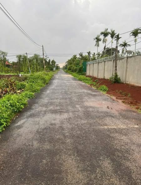 Đất Nền Buôn Ma Thuột 135m² - Mặt Tiền D5, Tân An - Giá 990 Triệu