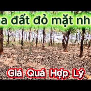Bán Gấp 3ha Đất Vườn Bình Phước - Cao Su Già, Sổ Đỏ Riêng