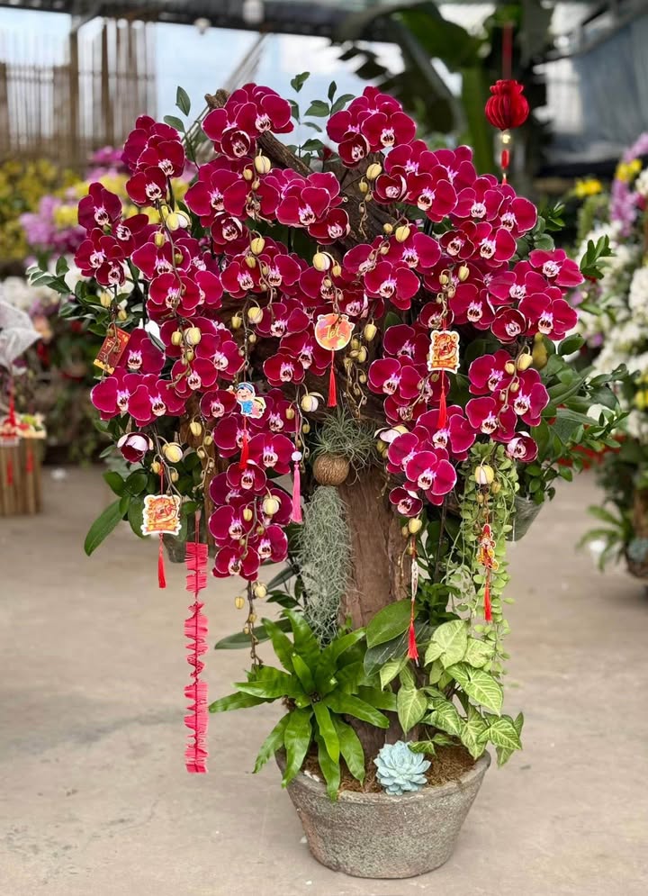 Nhà Mặt Phố Lê Hồng Phong 60m² giá 8.5 tỷ - Mặt tiền kinh doanh đắc địa!