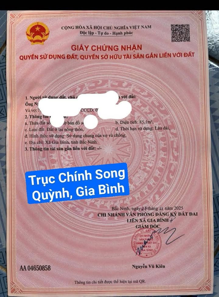 Đất Song Quỳnh, Gia Bình 85m² - Kinh Doanh Sinh Lời Ngay