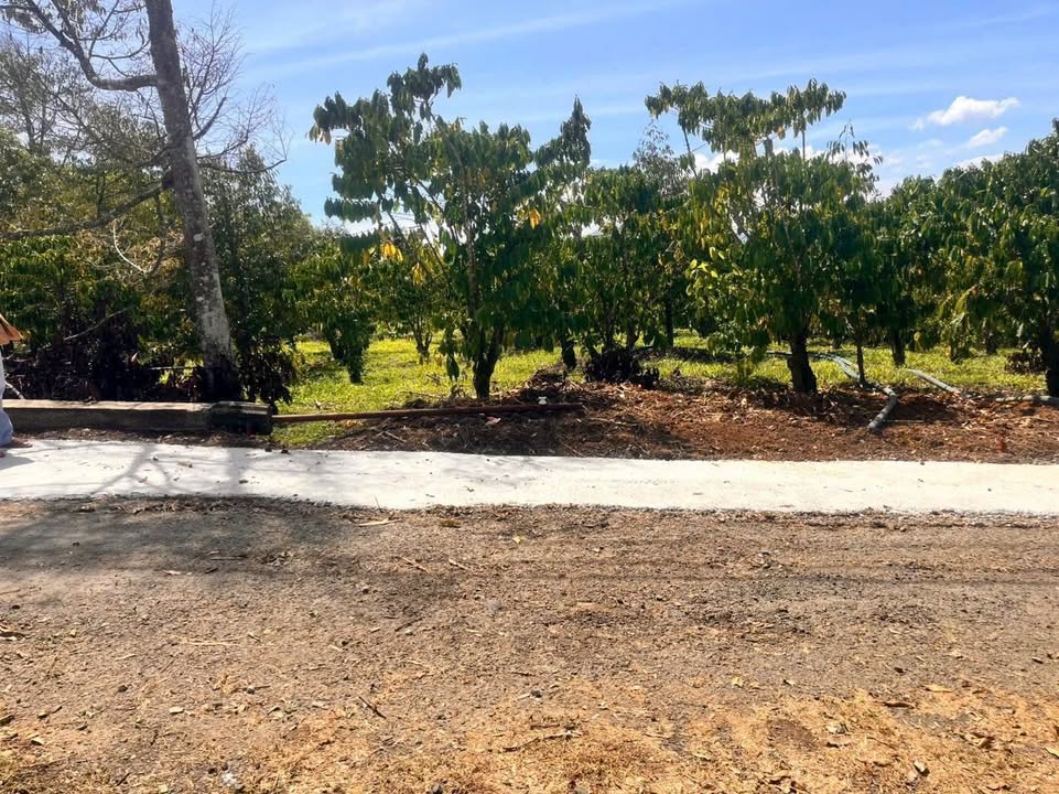 Đất nền Đại Lào Bảo Lộc 255m² giá 399 triệu - View săn mây cực đỉnh!