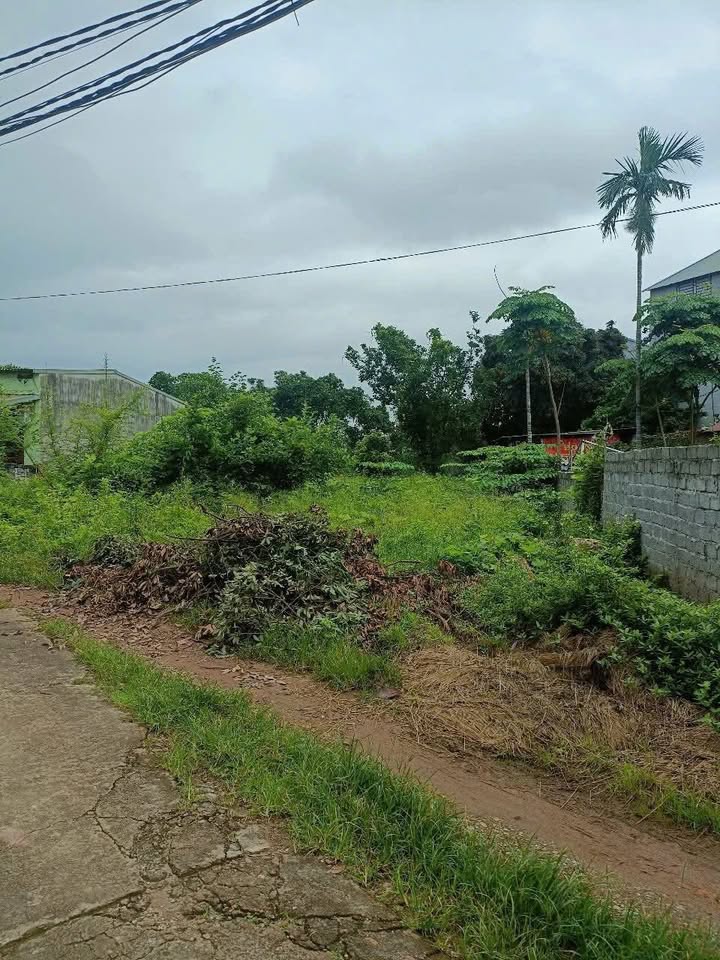 Đất nền Lạng Giang 150m² - Đường ô tô, Dân cư đông đúc, Giá chỉ 7xx triệu