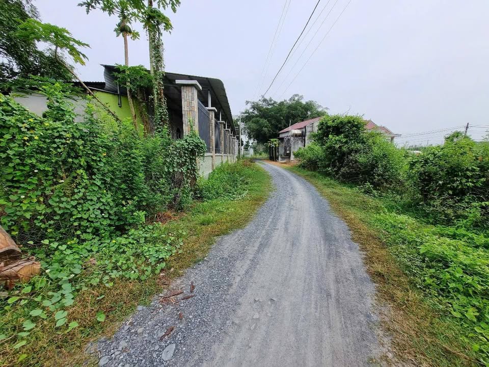 Đất nền Thái Mỹ Củ Chi 4.325m² 9.8 tỷ - Giá tốt hiếm có