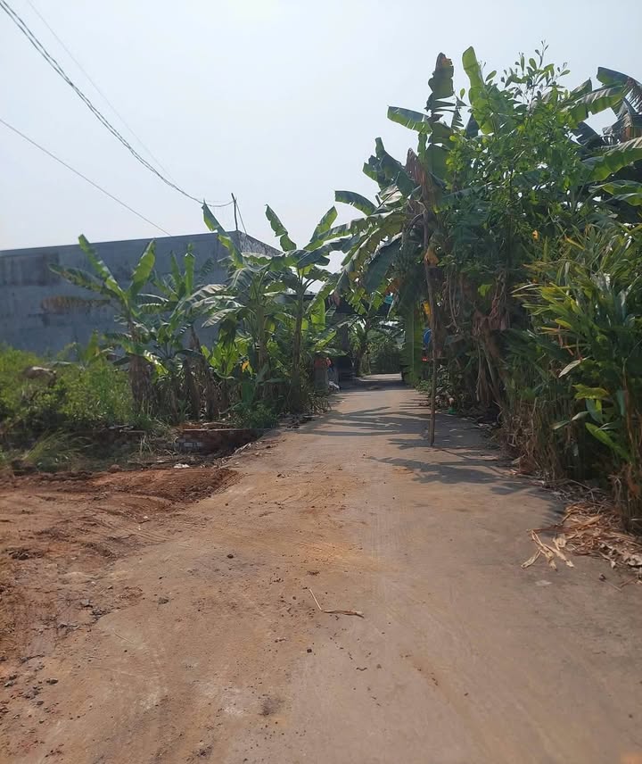 Đất nền Long Thành 100m² chỉ 400 triệu - Sổ hồng chính chủ!