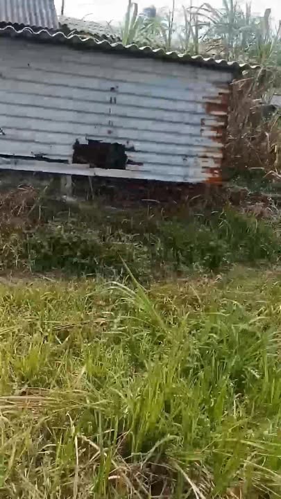 Đất nền Phố Khanh Cu, Đức Phổ 430m² - Tiềm năng tăng giá vượt trội!