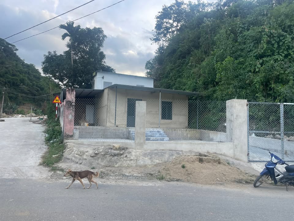 Nhà Phố Khánh Sơn 133m² - Mặt tiền kinh doanh đắc địa!