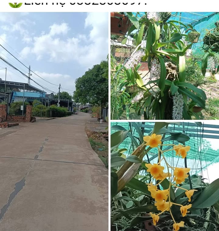 Đất nền Đức Phổ, Đạ Huoai 470m² - Sổ đỏ chính chủ!