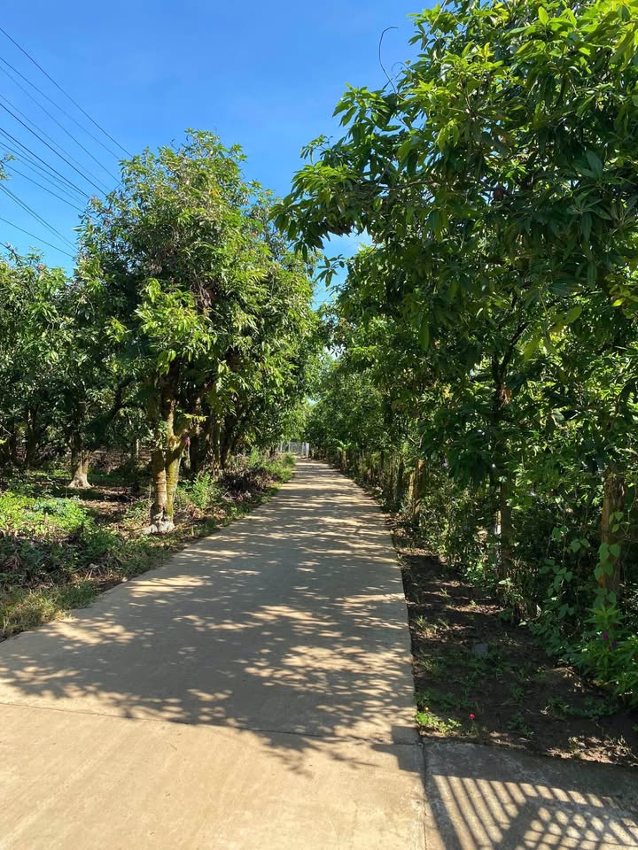 Đất nền La Ngà, Định Quán 155m² - Sổ đỏ chính chủ!