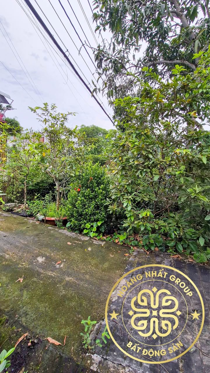 Nhà Cấp 4 Cà Mau 200m² Mặt tiền Lâm Thành Mậu - Kinh doanh sinh lời!