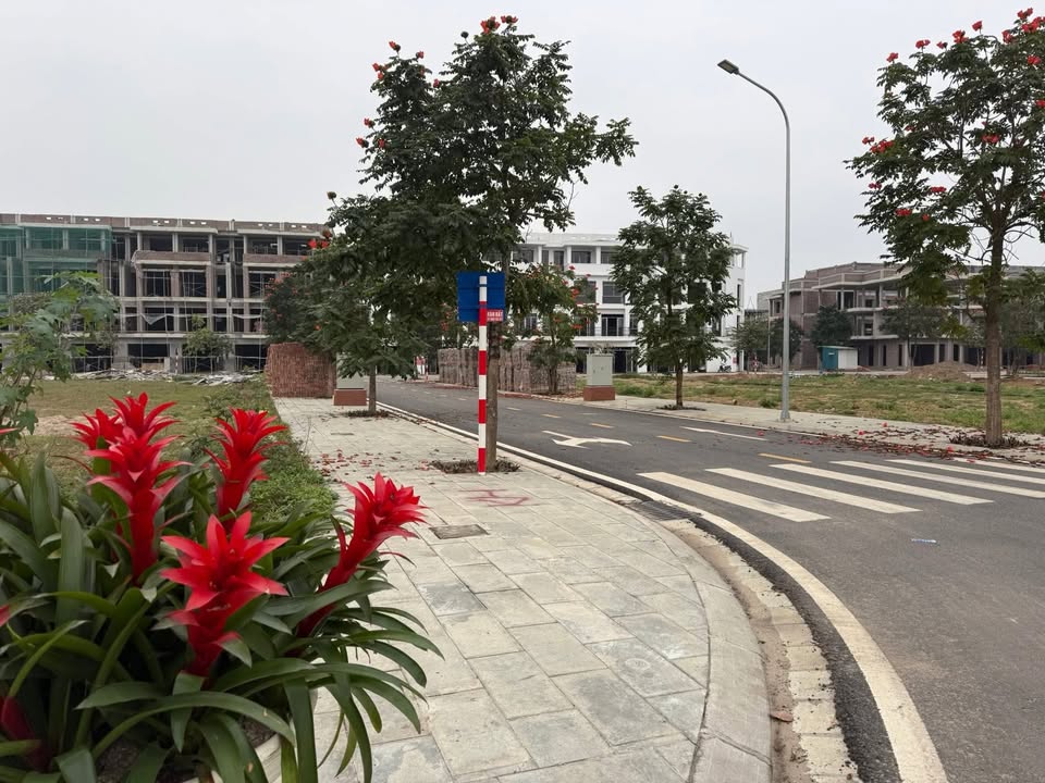 Bán Gấp Nhà 4 Tầng KĐT Nam Việt, Phú Thọ - 90m², Kinh Doanh Đắc Lợi