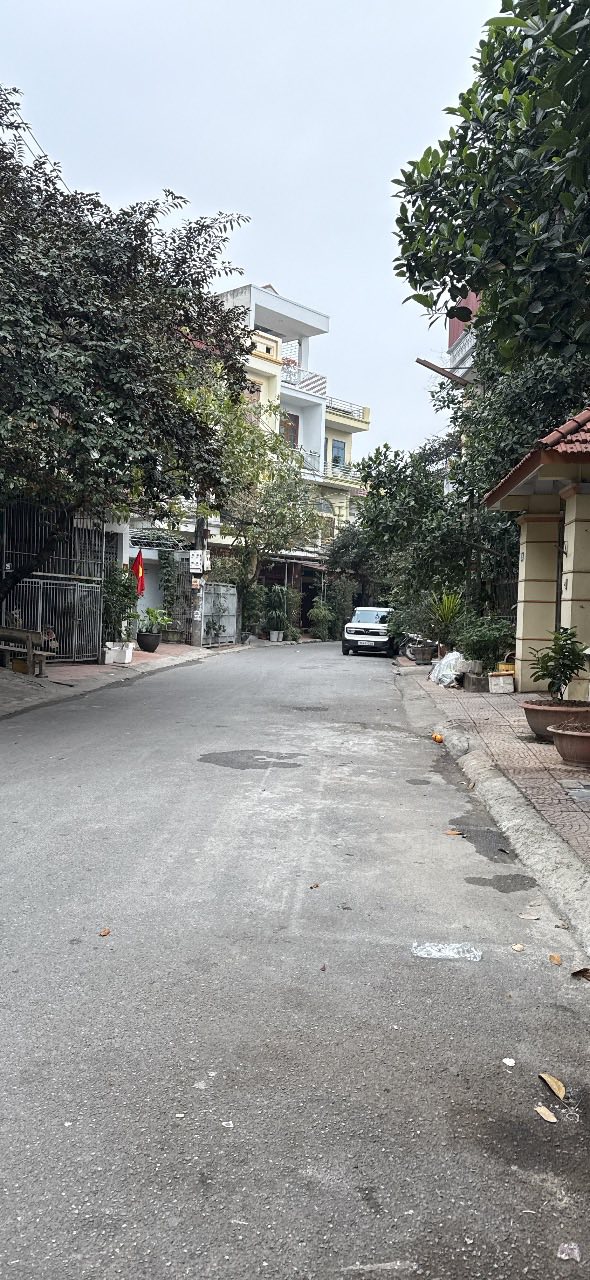 Bán Gấp Đất Vàng 80m² Mặt Tiền 8m P. Võ Cường, TP.Bắc Ninh - Kinh Doanh Đỉnh Cao