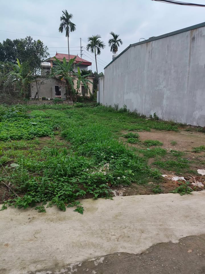 Đất nền Thụy An, Ba Vì 203m² - Sổ đỏ chính chủ, nở hậu đẹp!