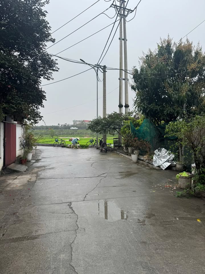 Đất nền Đông Anh 60m² 3.9 tỷ - Đường to ô tô vào tận nơi!