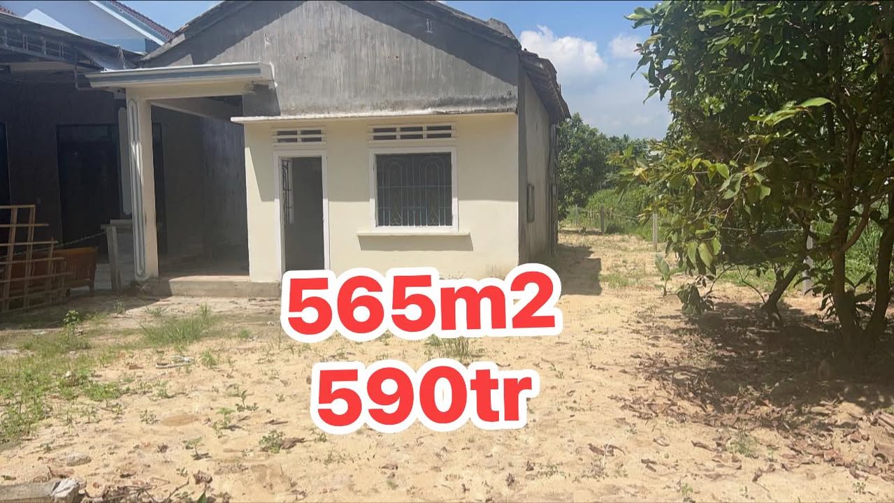 Đất Vườn Tư Nghĩa, Quảng Ngãi 565m² chỉ 590 triệu - Nghỉ dưỡng lý tưởng!