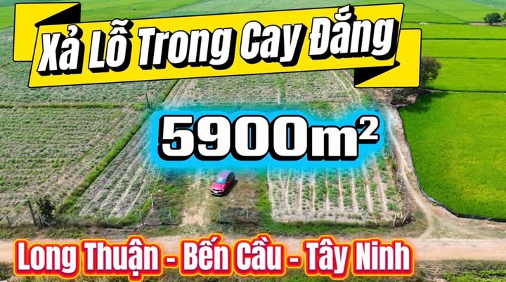 Đất nền Long Thuận 5900m² giá 1.08 tỷ - Sổ đỏ chính chủ, giá đầu tư tốt!