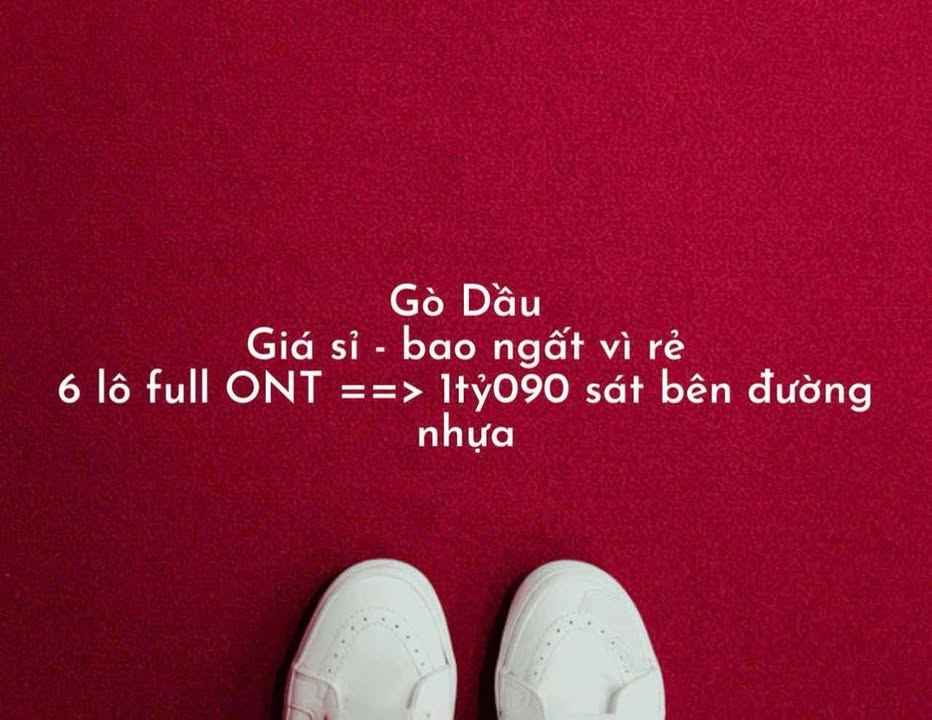 Đất nền Gò Dầu, Tây Ninh 300m² - Sổ đỏ chính chủ, tiềm năng sinh lời!