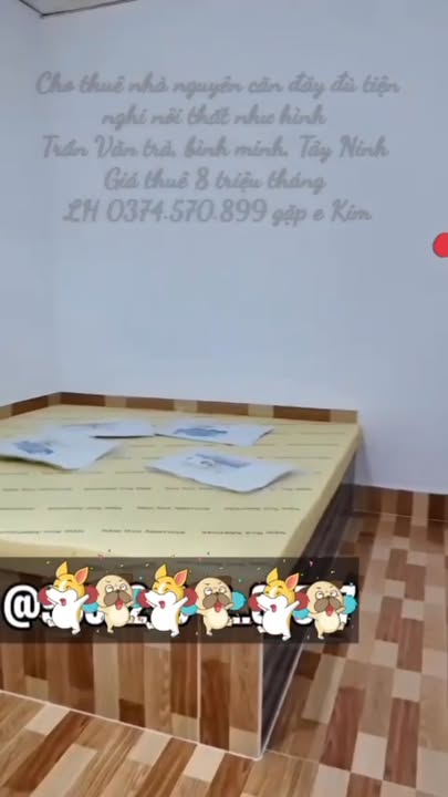 Cho Thuê Nhà Nguyên Căn Full Nội Thất Đường Trần Văn Trà, Tây Ninh - 8 Triệu/Tháng