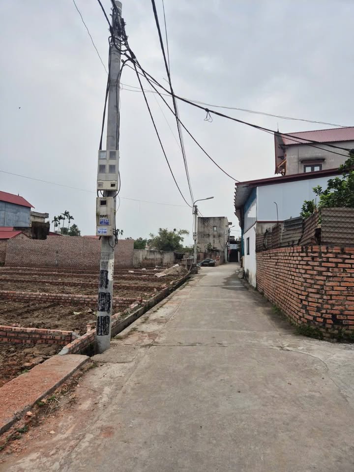 Đất Trạm Lộ, Bắc Ninh 48m² - Mặt tiền 6m Nở hậu - Giá 1.5 tỷ