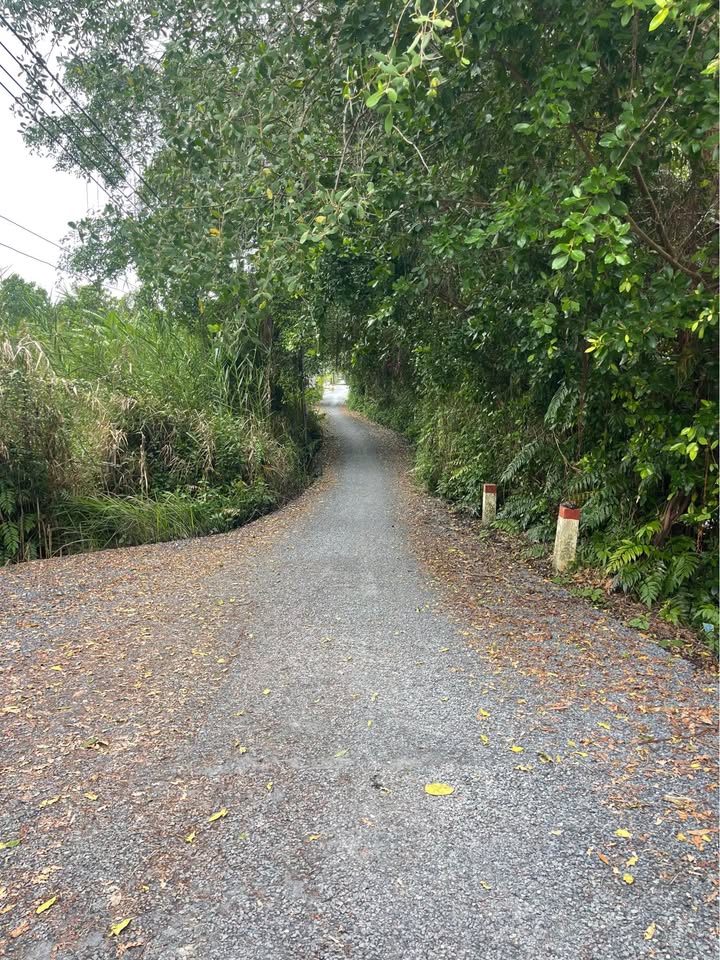 Đất nền Vĩnh Long Phú Quới 300m² - Đất thổ cư 100% sẵn xây