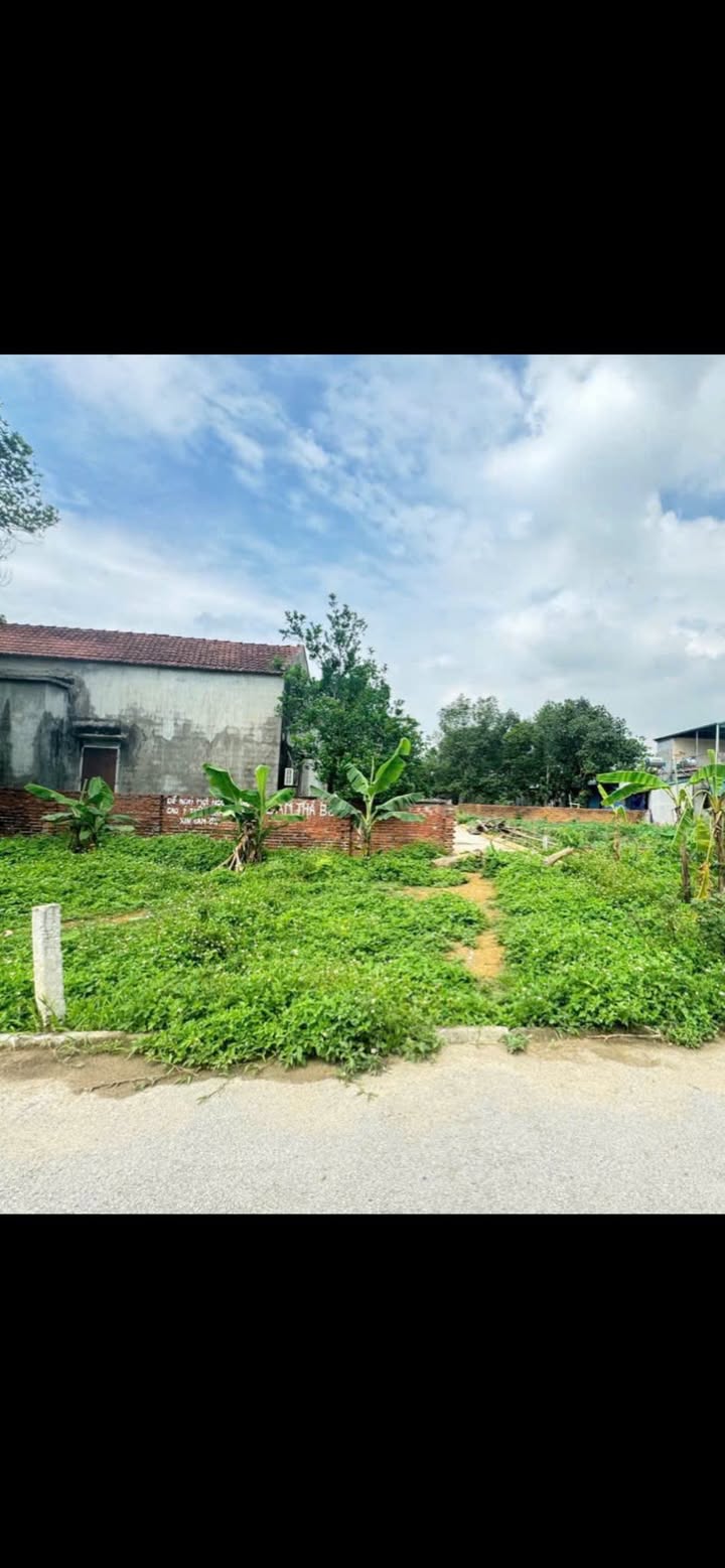 Đất nền Thạch Thất 62m² dưới 2 tỷ - Sổ đỏ chính chủ!