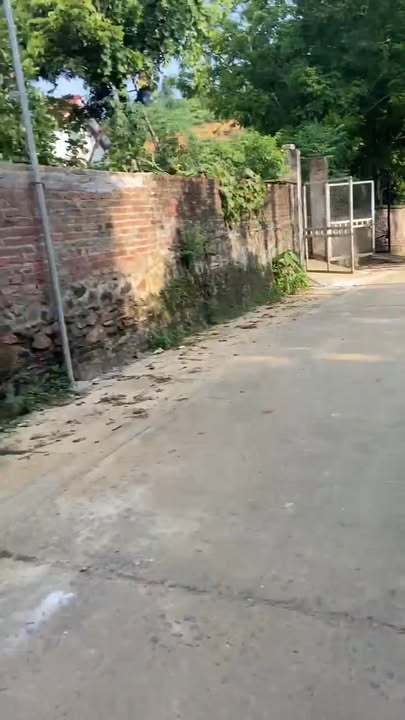 Đất nền Thôn Sổ, Thạch Thất 1003m² - Sổ đỏ chính chủ