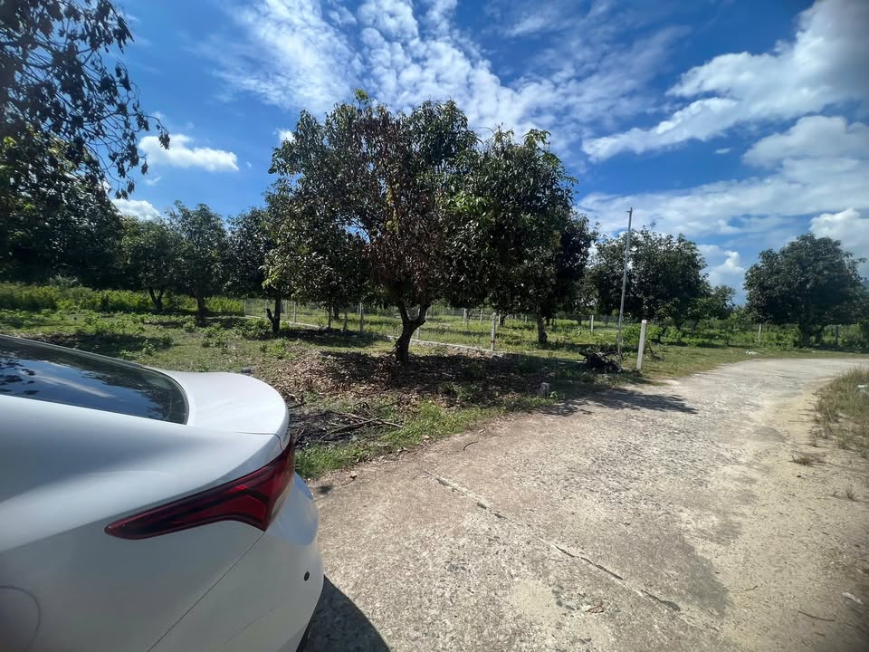 Đất nền Suối Tiên Diên Khánh 140m² giá 600 triệu - Sổ đỏ chính chủ!