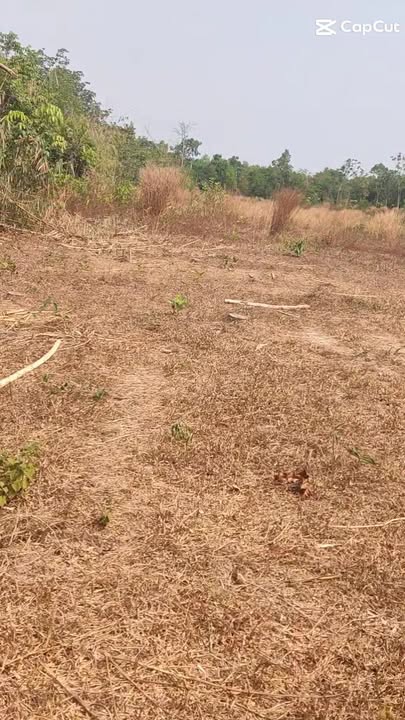 Đất nền Tân Hưng Hớn Quản 360m² giá 100 triệu - Sổ đỏ chính chủ