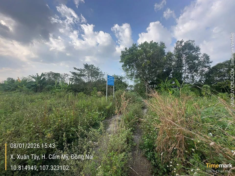 Đất nền 3264m² Xuân Tây, Cẩm Mỹ - Sổ đỏ chính chủ, giá tốt!