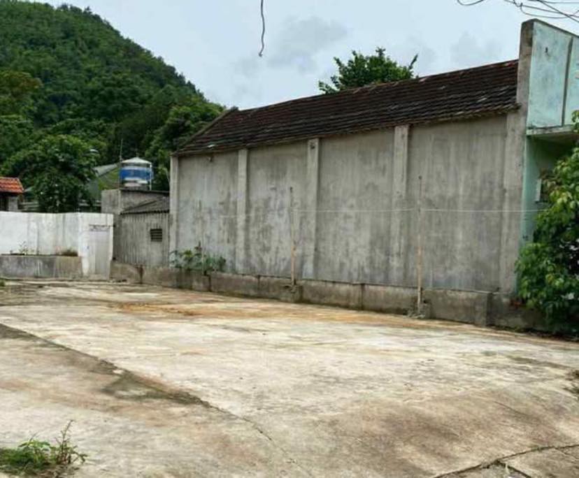 Đất Tổ 5 Vân Hồ 200m² 700 triệu - Đường to ô tô