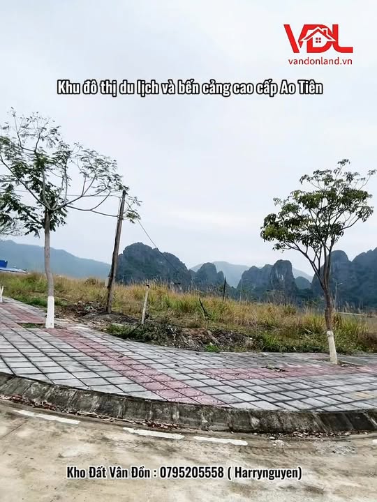 Bán Đất Vàng 1000m² Ao Tiên, Vân Đồn - Xây 16 Tầng, Tiềm Năng Khách Sạn 3.5 Tỷ/Tháng