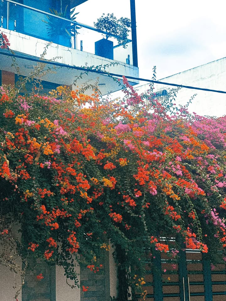 Nhà riêng Hiệp Bình Chánh 12 triệu - Hẻm xe hơi, ở ngay!